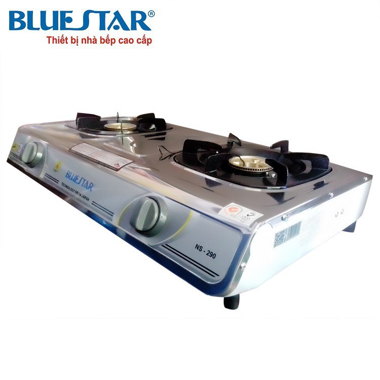 Bếp gas đôi Bluestar NS-290F/S