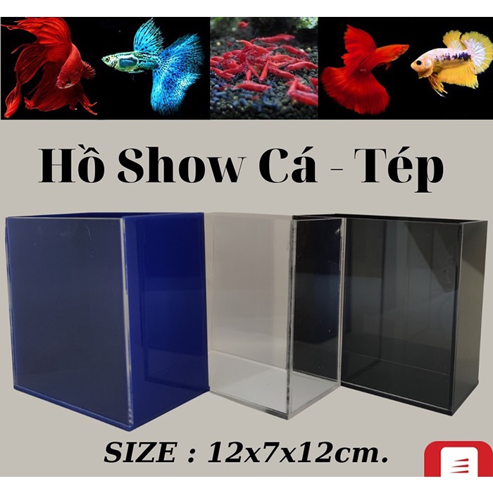 HỒ SHOW CÁ BETTA GUPPY ACRYLIC SIÊU TRONG 11X15X17CM