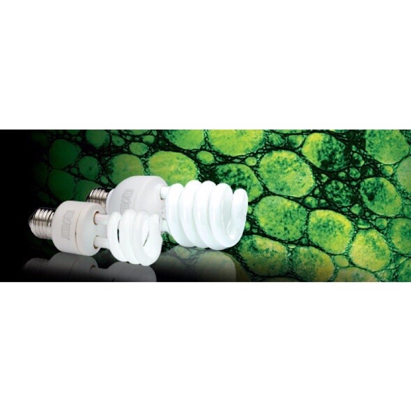 ĐÈN BỨC XẠ UVB 100 / 5.0. DÀNH CHO PET RỪNG NHIỆT ĐỚI NHƯ IGUANA RỒNG NAM MỸ, VẸT, CHIM, GÀ, TRĂN RẮN, EXO TERRA GIÁ SĨ