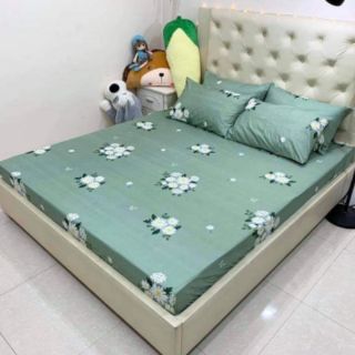 Ga gối chun cotton poly (3 món)
