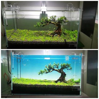 Tấm nền Light Screen YBB cho bể thủy sinh (30cm, 45cm, 60cm)