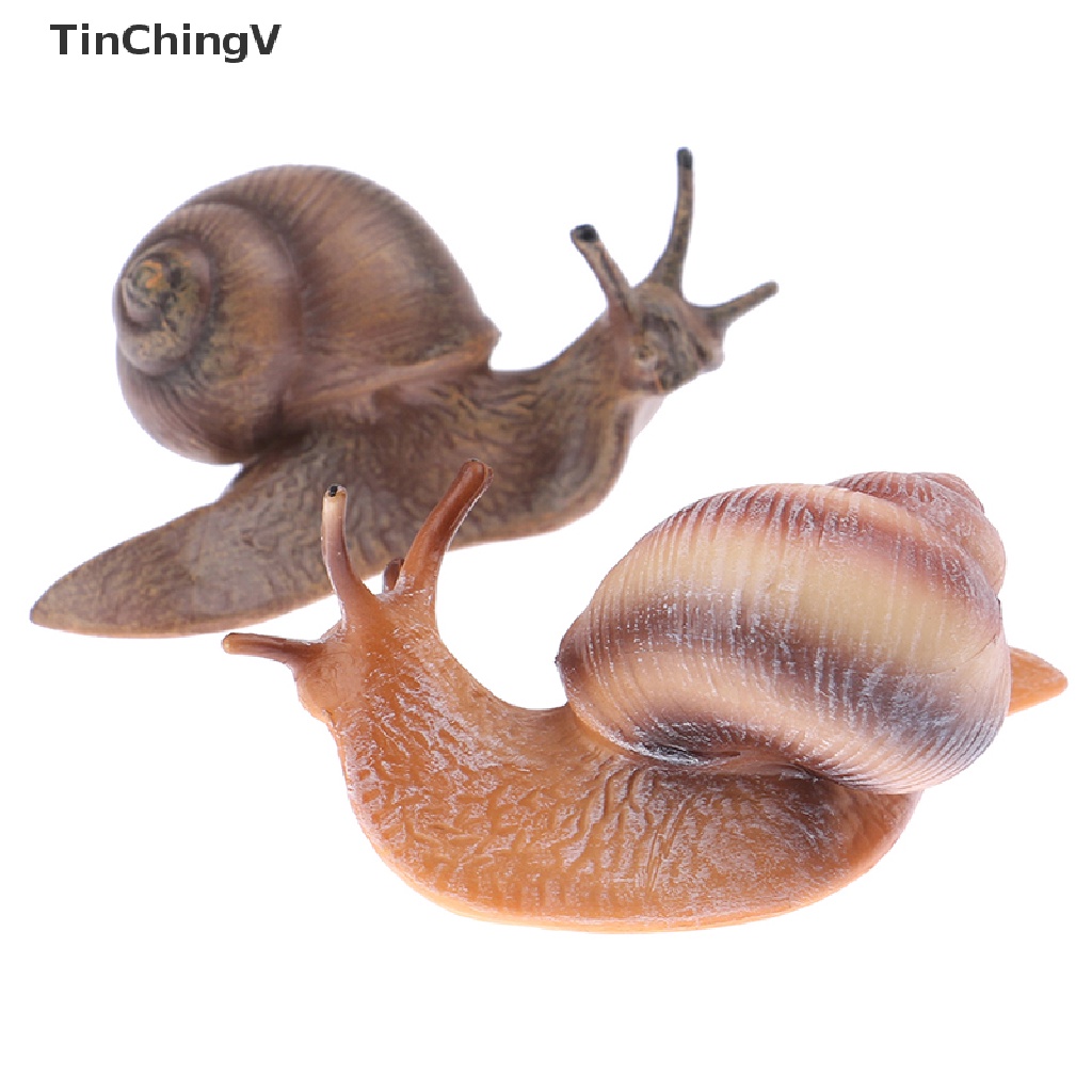 [TinChingV] Đồ trang trí Côn Trùng Động Vật mini Trang Trí Chu Kỳ Mọc Răng