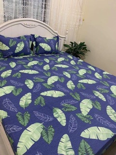 Sét ga gối cotton Hàn m6*2m
