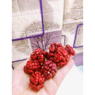 ÓC CHÓ NHÂN ĐỎ - (Đã bóc vỏ) (500gr)
