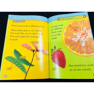Bộ nhập - National Geographic Kids (Level 1 - 38q)