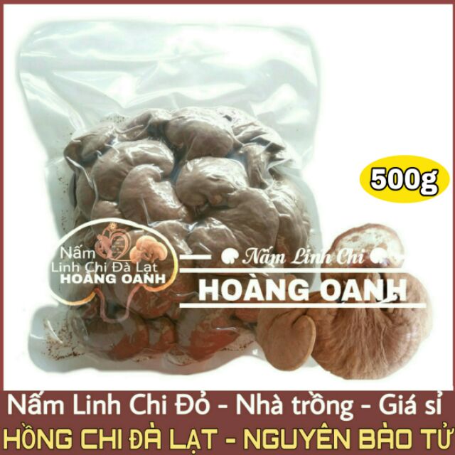 Nấm Linh Chi Đỏ còn nguyên bào tử 500g - Hồng Chi Đà Lạt