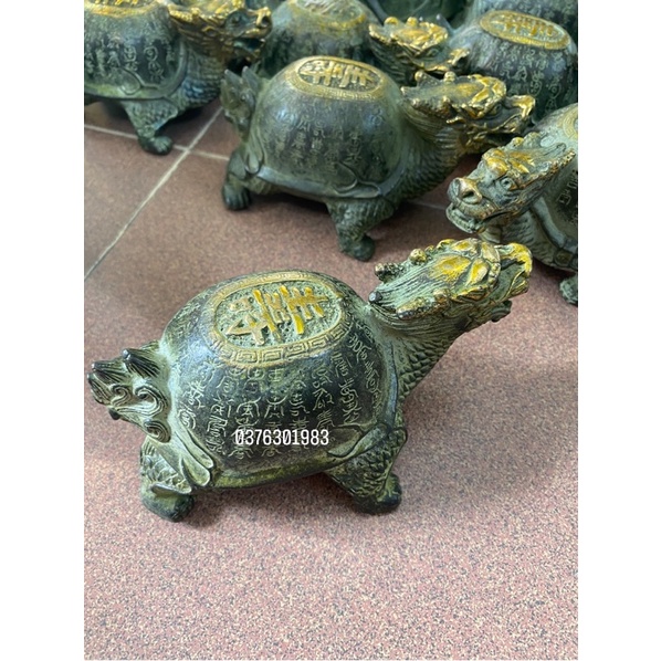 Rùa đồng cổ