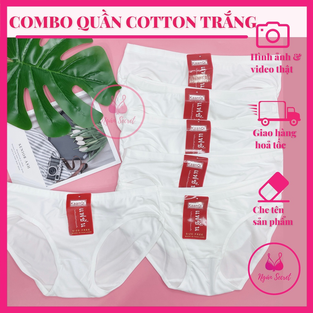 Combo quần lót cotton trắng, quần lót nữ trắng co dãn, thấm hút tốt, đủ size
