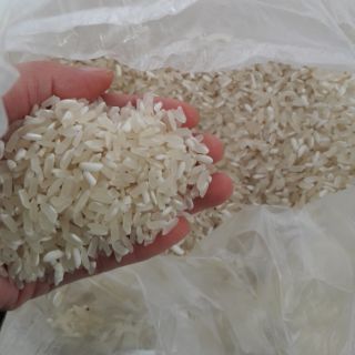 Gạo nếp đặc sản Điện Biên