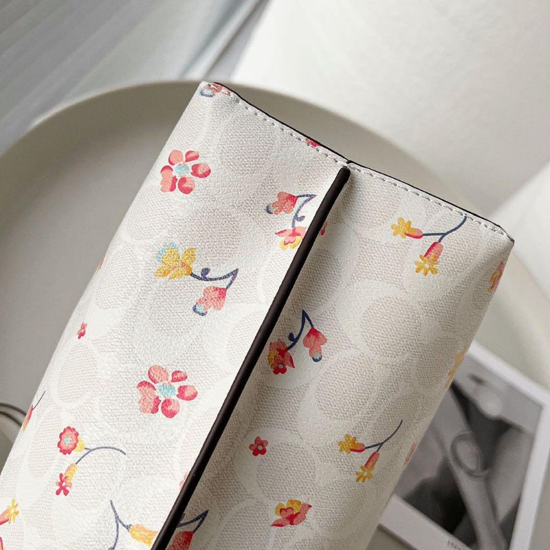 Túi Coach mollie tote