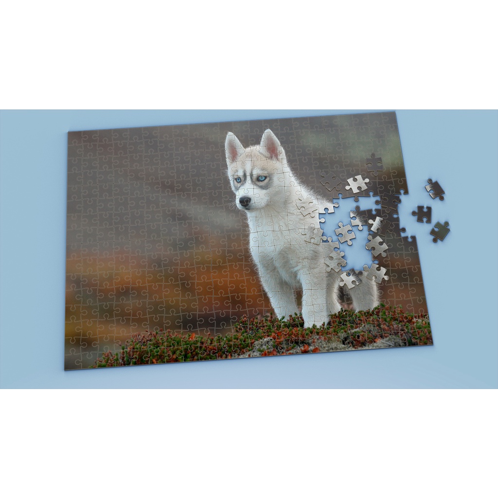 Tranh ghép hình Animal - Tranh ghép hình HUSKY - Mẫu 7 - Nhận in hình tranh ghép theo yêu cầu