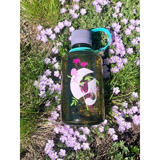 Bình nước Glossier Water Bottle