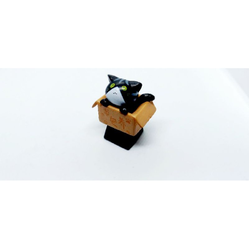 Keycap bé mèo trong hộp (baby cat in box), trang trí bàn phím.