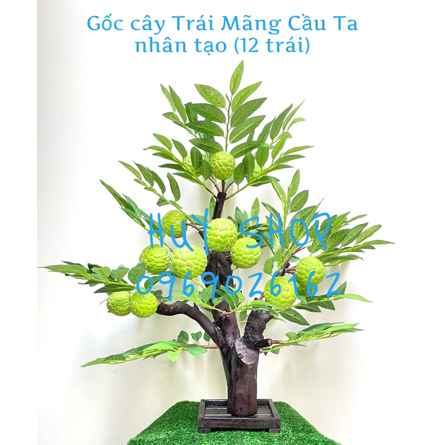 Gốc cây Trái MÃNG CẦU TA nhân tạo trang trí nhà cửa