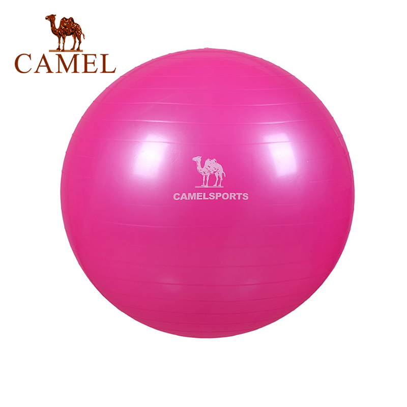 Bóng Tròn Camel Hỗ Trợ Tập Luyện Thể Thao Yoga