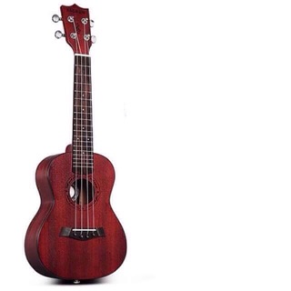 ukulele andrew concert