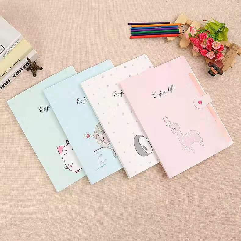Cặp đựng tài liệu nhiều ngăn thích hợp lưu trữ các giấy tờ quan trọng