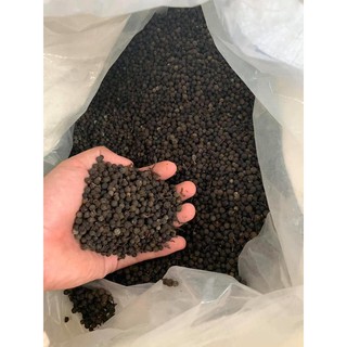 1kgTiêu hột rừng Kon Tum hàng bao chuẩn