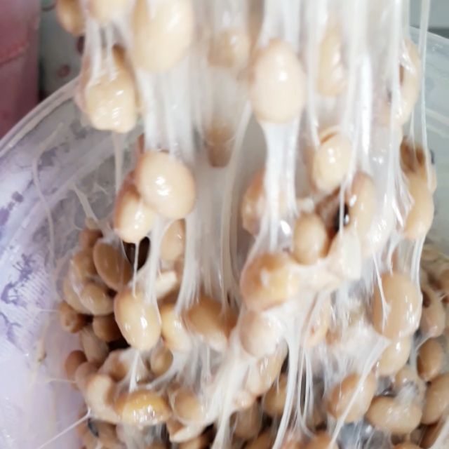 natto tươi siêu sạch 1kg