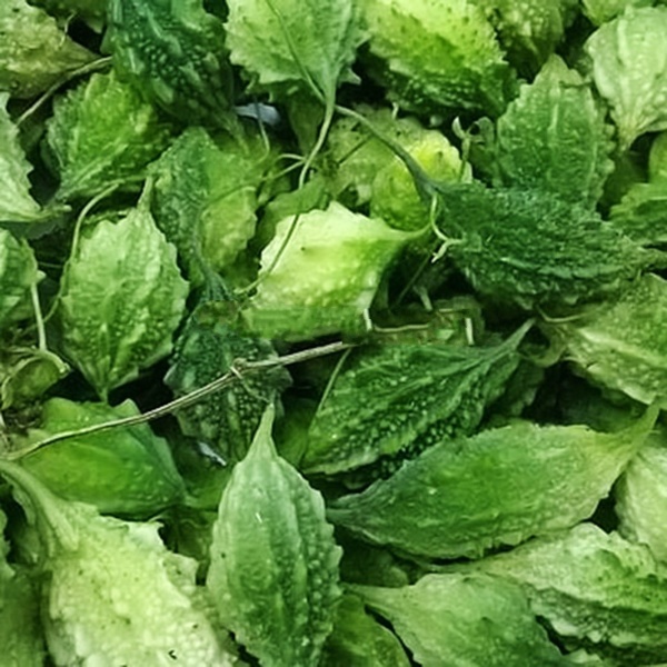 Hạt giống khổ qua rừng - rau củ quả trồng chậu chịu nhiệt 4 mùa tỉ lệ nảy mầm cao 1g RADO 52