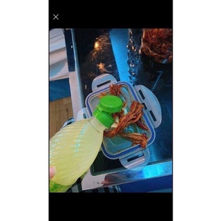 Chai nước cốt chanh 1000ml thái lan