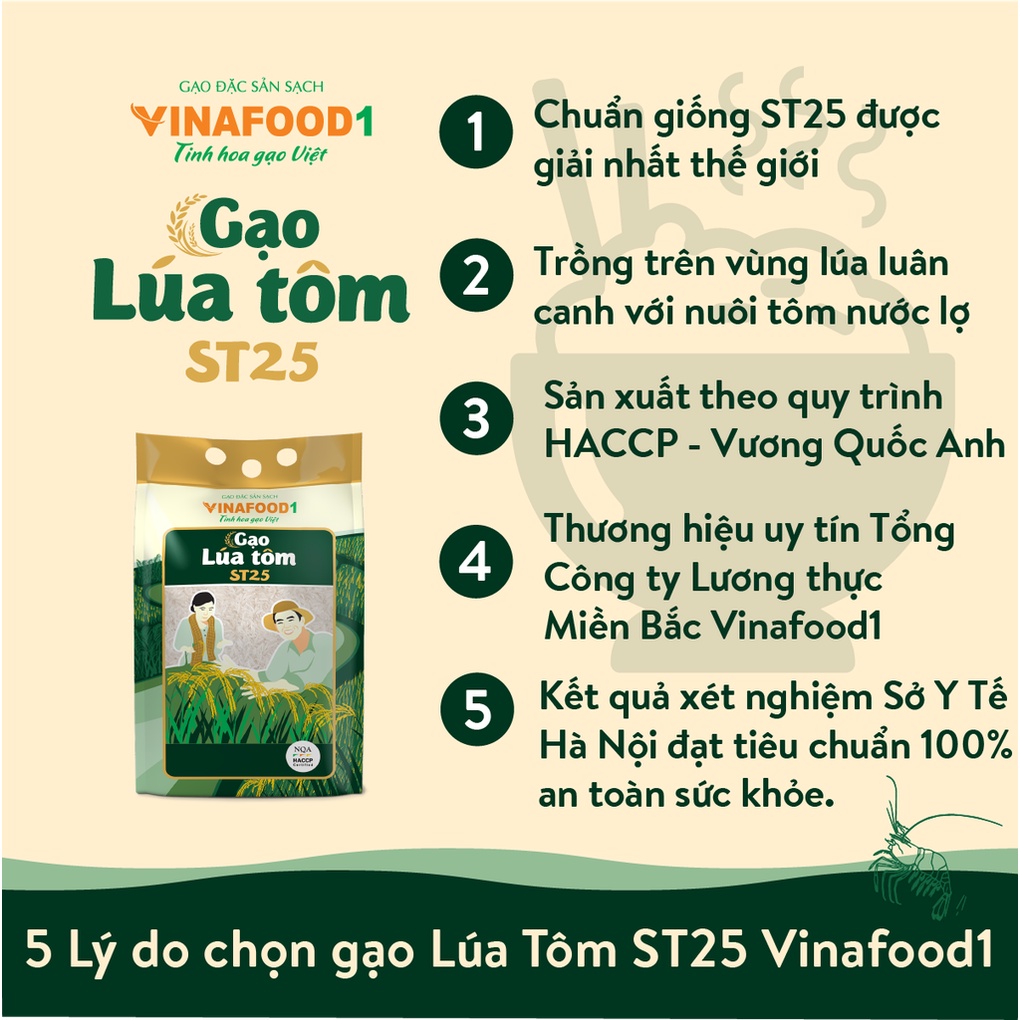 Gạo ST25 Lúa Tôm Vinafood1 Chuẩn giống lúa của bác Hồ Quang Cua