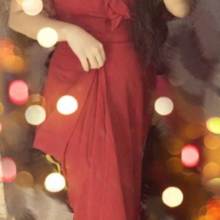 Đầm tiec dài