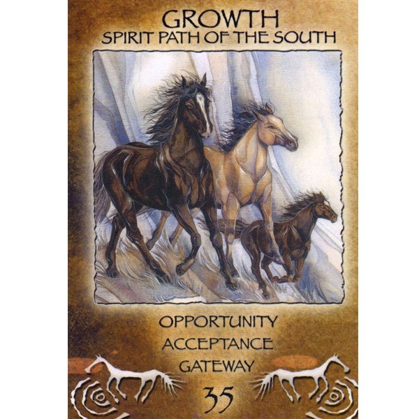 Bộ Bài Spirit of the Wheel Meditation Deck (Mystic House Tarot Shop) - Bài Gốc Authentic Chính Hãng 100%