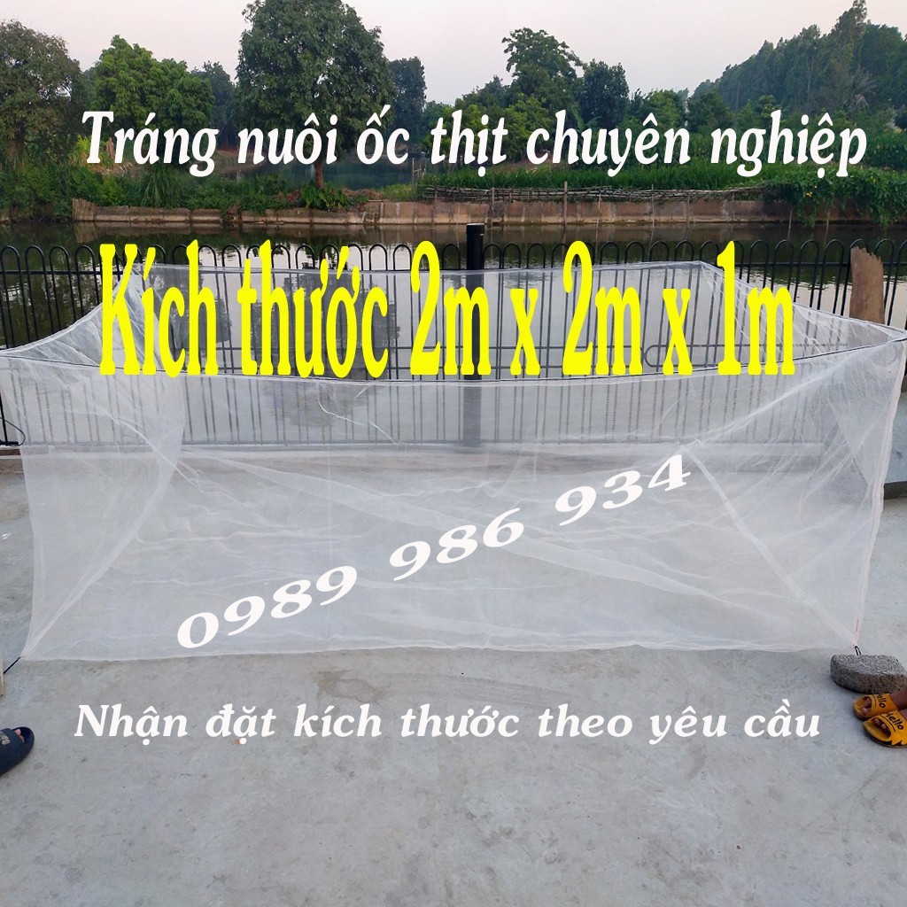 Tráng nuôi ốc nhồi thịt chuyên nghiệp 2m x 2m x 1m