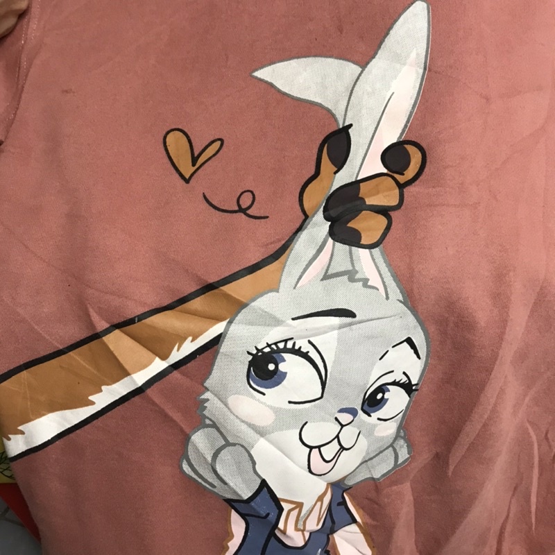 [GIẢM 50%] HODDIE 2HAND ĐƯỢC LỰA MẪU -HÀNG SI TUYỂN L1 ĐỘ MỚI TRÊN 90-95% H/16 MỤI 2HAND | BigBuy360 - bigbuy360.vn