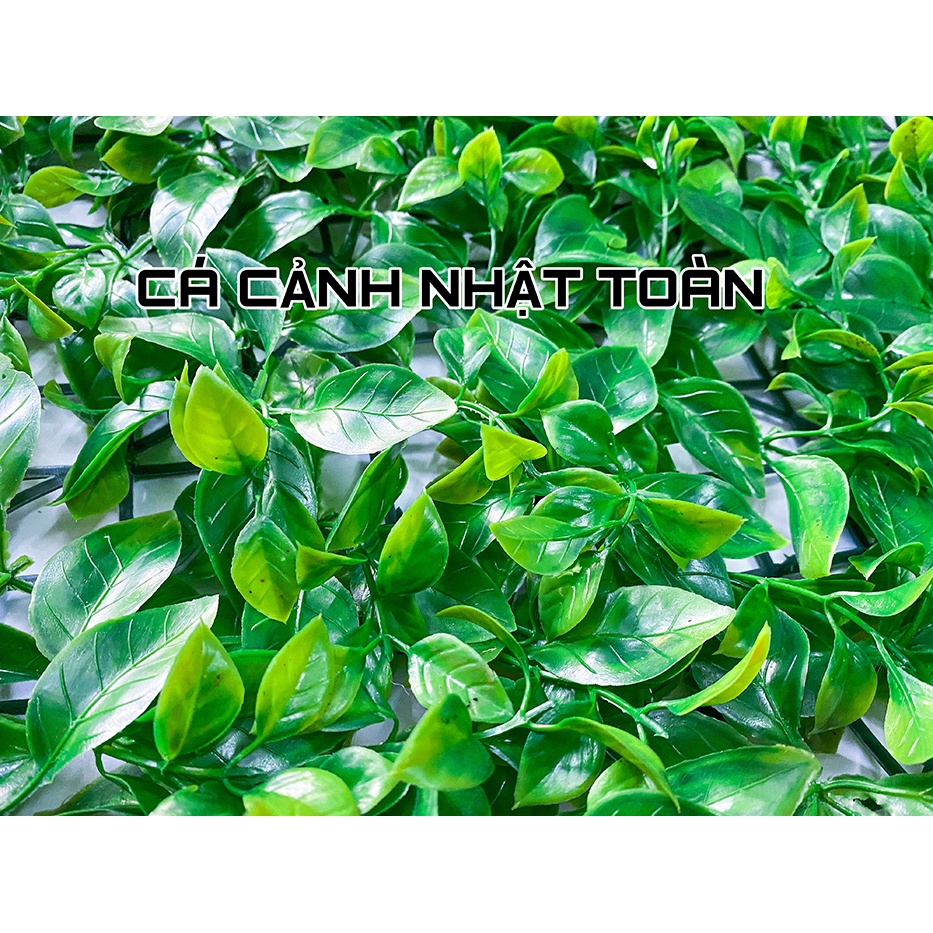 THẢM CỎ TRÀ NHÂN TẠO TRANG TRÍ BỂ CÁ, TIỂU CẢNH 60X40CM