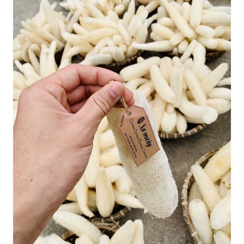 Xơ Mướp Sinh Dược Xơ Mướp Tắm Tẩy Tế Bào Chết, Sơ mướp Rửa Chén, Bông Tắm, Xuất Khẩu | BigBuy360 - bigbuy360.vn