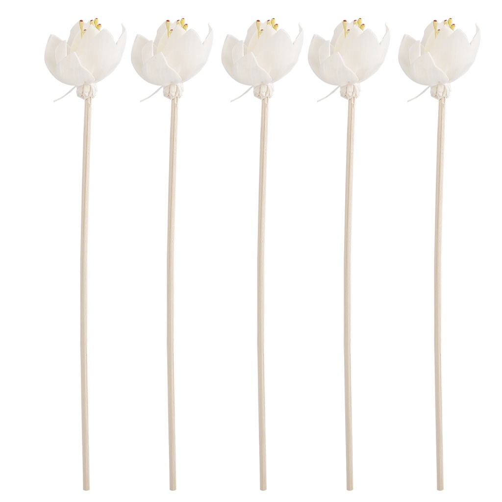 Set 5 Que Gỗ Khuếch Tán Hương Thơm Thay Thế Cho Spa / Nhà Ở / Văn Phòng