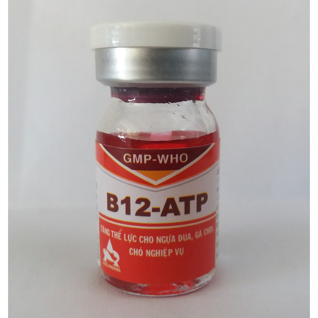 [ Giá rẻ] B12 ATP 5ml