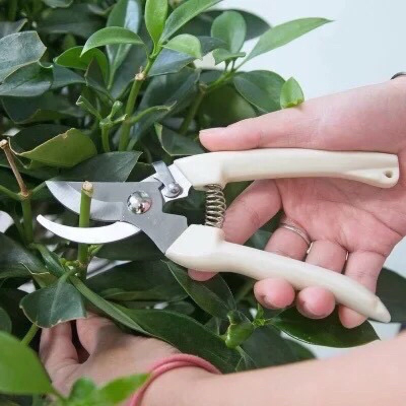 Kéo cắt cành cây, kéo tỉa cây cảnh cây ăn quả bền sắc