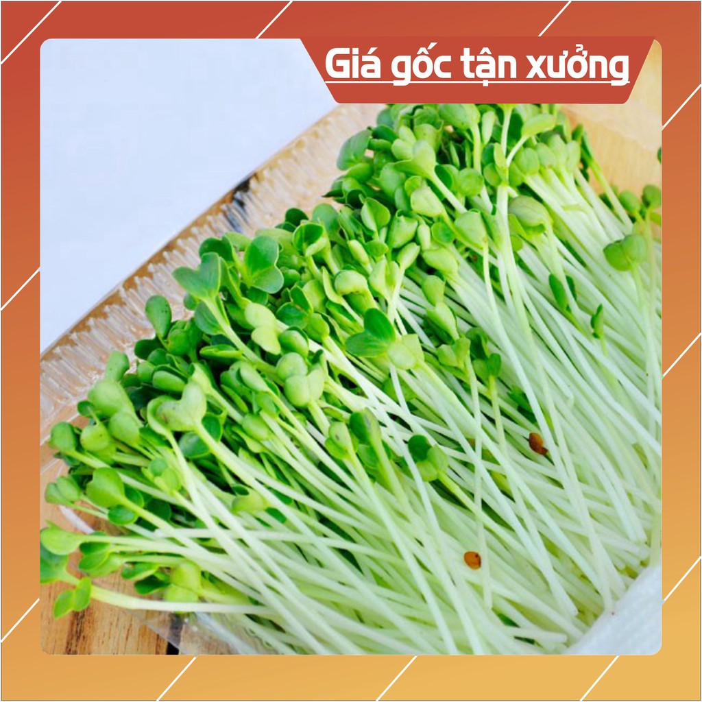 Hạt Giống Rau Mầm Cải Ngọt - gói 100g  - Chính hãng