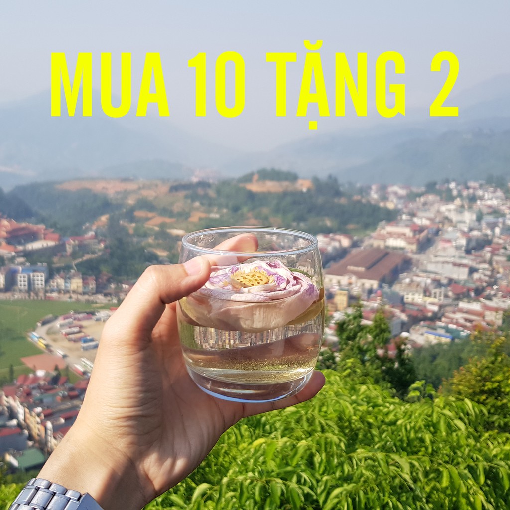Trà hoa sen hồng 9️⃣9️⃣K = 12 bông ⚡Freeship toàn quốc | BigBuy360 - bigbuy360.vn