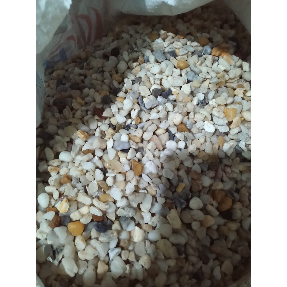Combo 2 bộ lọc nước thô đầu nguồn Vật Liệu Nhập Khẩu 1054