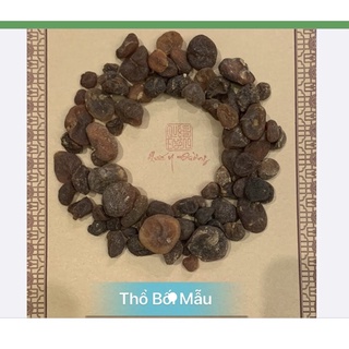 100gr Thổ Bối Mẫu Hà Bắc