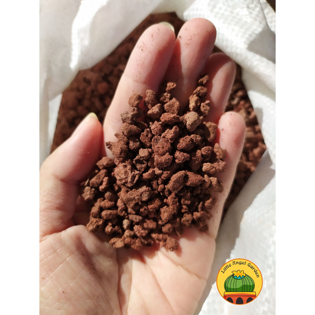 1KG Đá nham thạch đen hoặc đỏ size 3-6mm | Lava đen đỏ | Đá Scoria| đá rải mặt xương rồng sen đá, lithops