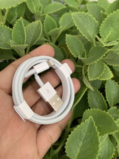 Bộ sạc cáp zin máy iphone 11 chuẩn apple
