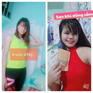 Sâm bổ kiện thảo mộc nam