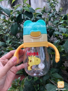 Bình sữa 2in1 Panda - Made in Japan