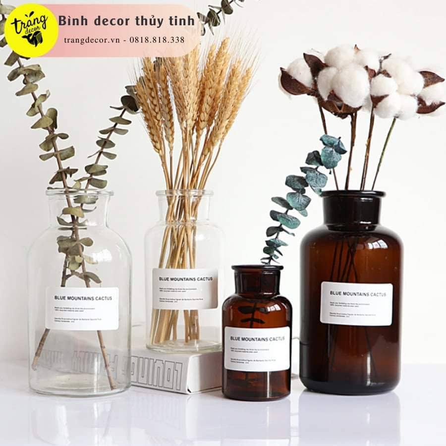 Bình thuỷ tinh cuận dây decor