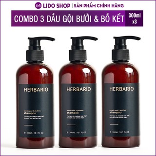Combo 3 Chai Dầu Gội Bưởi & Bồ kết Giảm rụng tóc Nhanh