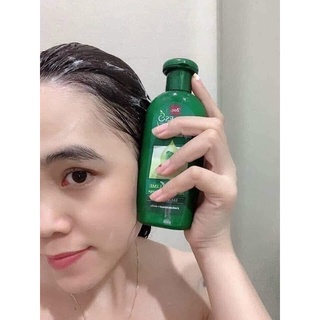 Dầu gội ngăn rụng tóc kích mọc tóc faller 180ml thái lan