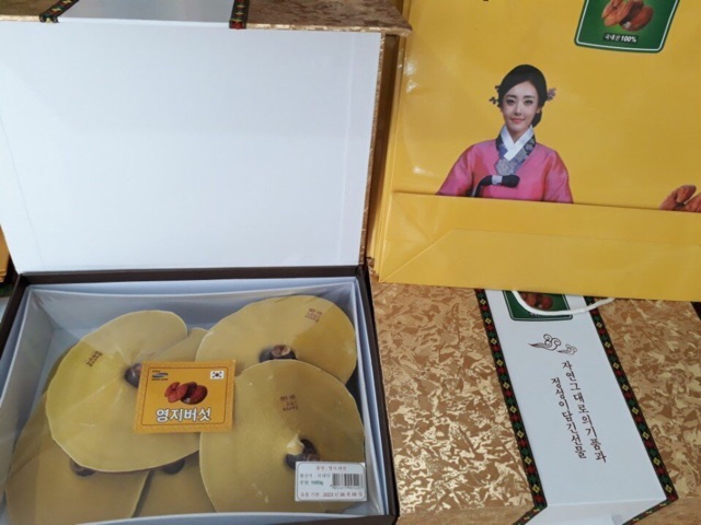 NẤM HỘP CÔ GÁI HÀN QUỐC 1KG | BigBuy360 - bigbuy360.vn