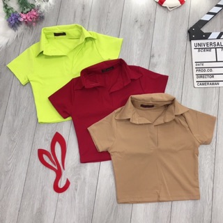 Áo thun cổ bẻ croptop chất đẹp