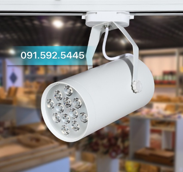 Đèn Rọi Ray Led 12w