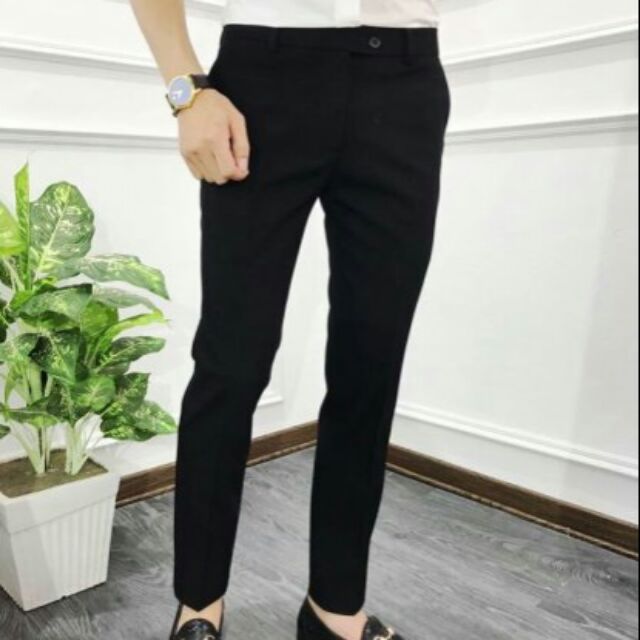 Combo Quần tây âu